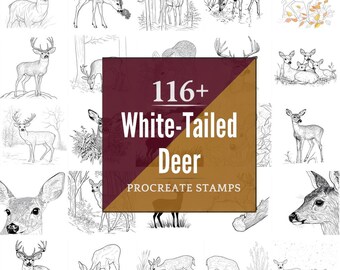 White Tailed Deer Procreate Brushes & PNG Bundle | 116+ Designs (Digital Download)