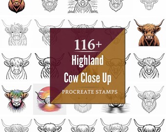 Procreate Highland Cow Close Up Stamps | 116+ Brushes, PNG (Instant Digital Download)
