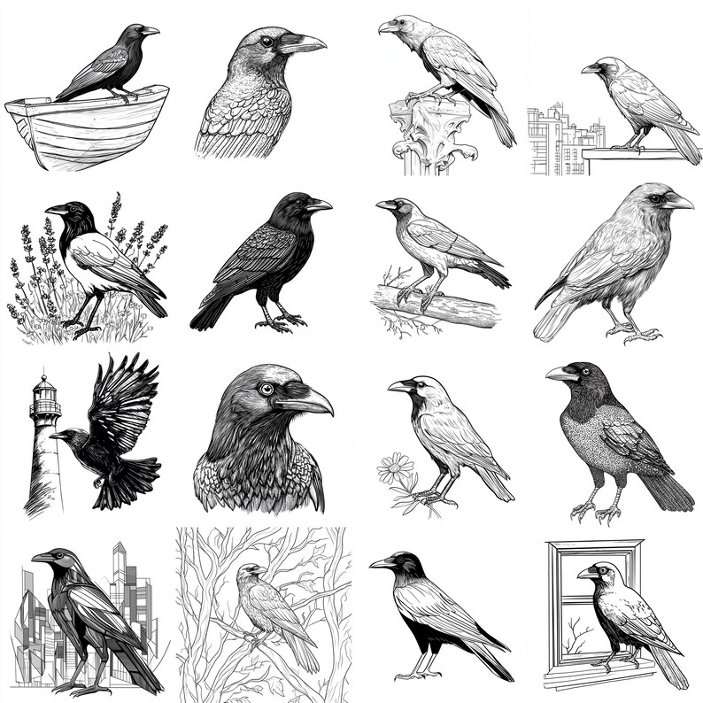 American Crow Procreate Brushes & PNG Bundle | 116+ Designs | Instant ...