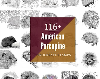 American Porcupine Procreate Brushes & PNG Bundle | 116+ Designs | Instant Digital Download