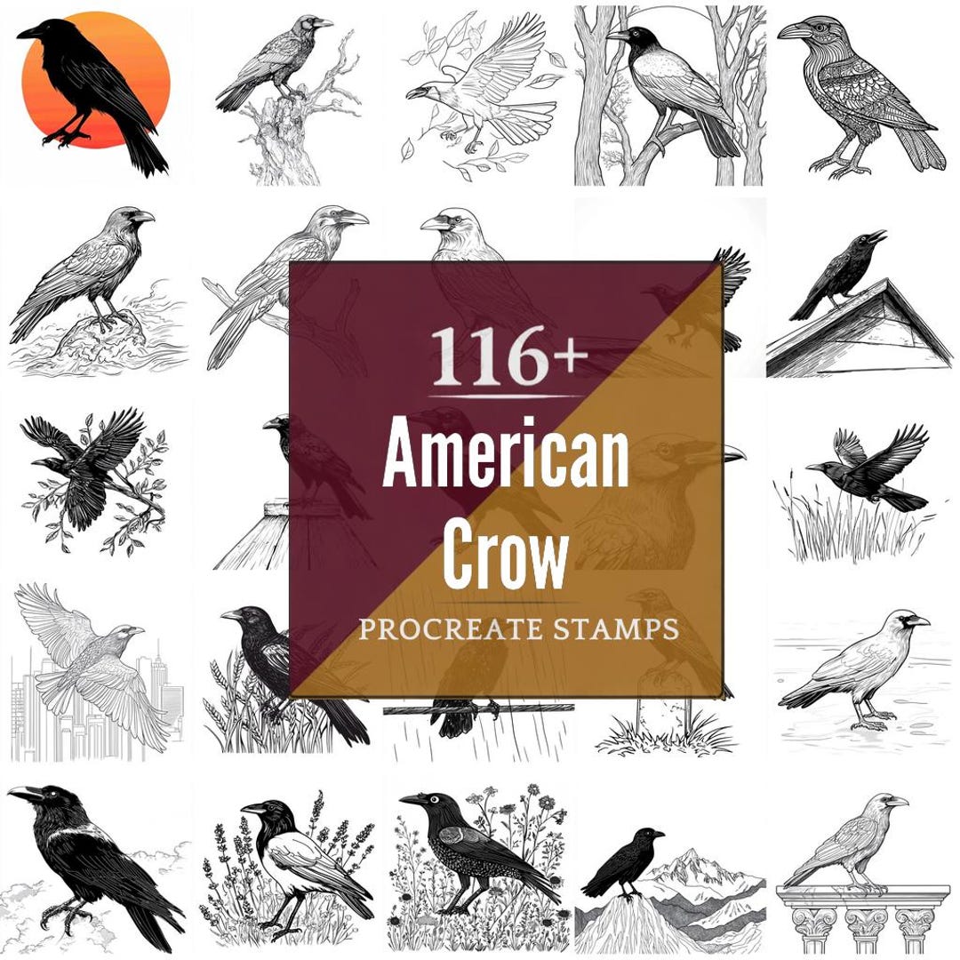 American Crow Procreate Brushes & PNG Bundle | 116+ Designs | Instant ...