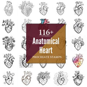 May include: A collection of 116+ anatomical heart Procreate stamps in various styles. The hearts are depicted in detailed line art, with some featuring floral, crystal, and other decorative elements. The color palette is primarily black and white, with some hearts in color.