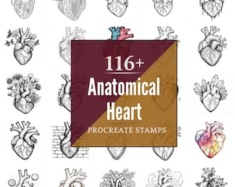 Anatomical Heart Procreate Brushes & PNG Bundle | 116+ Designs | Instant Digital Download