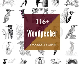 Woodpecker Procreate Brushes & PNG Bundle | 116+ Designs (Digital Download)