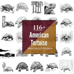 American Tortoise Procreate Brushes & PNG Bundle | 116+ Designs | Instant Digital Download