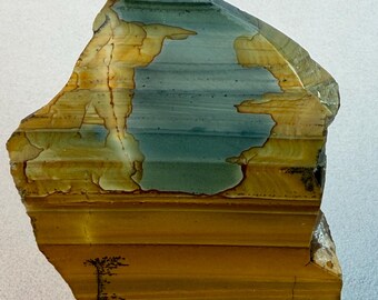 Cripple Creek Jasper | Raw Lapidary Slab