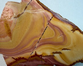 Red Falcon Jasper | Raw Lapidary Slab | Nevada Stone | Dead Camel Area
