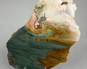 Gary Green Jasper Lapidary Slab | Larsonite | Bogwood | Oregon Stone for Projects (4.5" x 2.9")