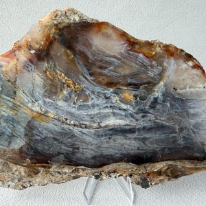 May include: A polished, irregularly shaped stone slab with a natural, layered appearance. The stone features a blend of colours, including shades of grey, brown, orange, and white. The surface has a smooth, polished texture, and is displayed on a clear stand.