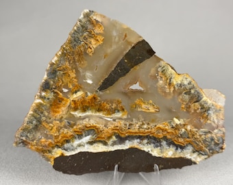 North Ridge Plume Agate | Raw Lapidary Slab | Oregon Agate Specimen
