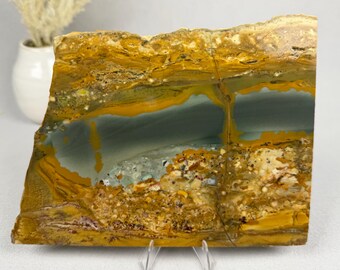 Old Stock Owyhee Picture Jasper | Raw Lapidary Slab | Landscape Scene Rock