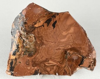 Rare Large Willow Creek Jasper Slab | Raw Lapidary Stone| Idaho Rock Specimen