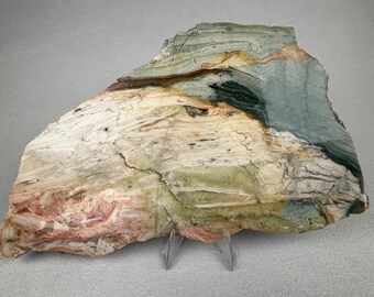 Gary Green Jasper Lapidary Slab | Larsonite | Bogwood | Oregon Stone Specimen (7.5" x 4.25")