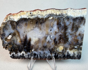 Idaho Seam Agate | Plume Agate Lapidary Slab