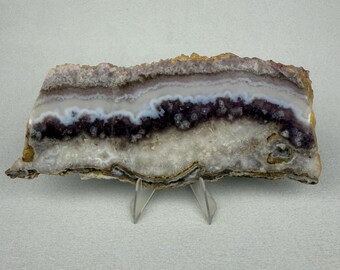 Purple Lace Sow Belly Agate | Raw Lapidary Slab | Banded Agate Display Specimen