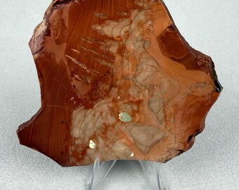 Willow Creek Jasper Slab | Raw Lapidary Stone | Pink Orbicular Jasper Specimen (3.9" x 3.3")