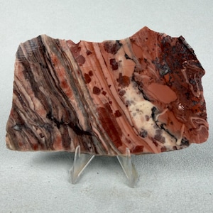 May include: A polished slab of red, brown, and cream-colored stone featuring intricate, layered banding and mottled patterns. The mineral specimen is displayed upright on a clear, V-shaped plastic stand, showcasing its natural, irregular edges.