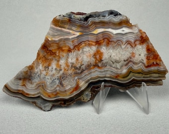 Raw Crazy Lace Agate Slab | Banded Agate Specimen (4.5" x 2")