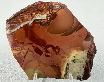 Willow Creek Jasper Slab | Raw Lapidary Stone| Idaho Rock Specimen | Pink Orbicular Jasper