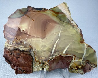 Willow Creek Jasper Slab | Raw Lapidary Stone| Idaho Rock Specimen