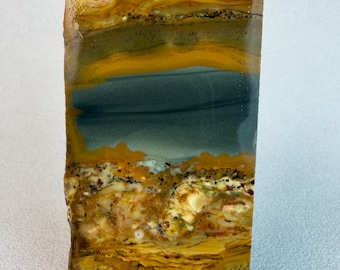 Old Stock Owyhee Picture Jasper | Raw Lapidary Slab