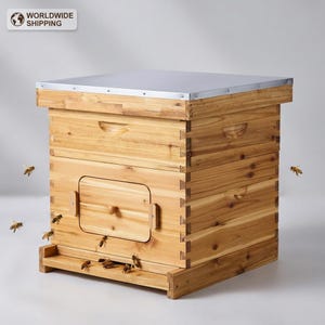 Kit de colmena Langstroth, caja de madera de abeto revestida de 20 cuadros, colmena de iniciación con ventana de observación.