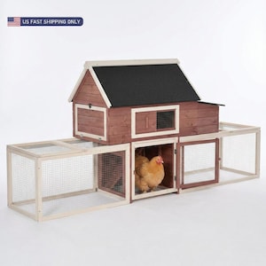 Modular Wooden Chicken Coop, Nesting Box, Dual Runs, Outdoor Poultry Hen House