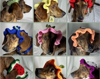 Mystery Handmade Crochet Fruit Dog Hats – Strawberry, Lemon, Kiwi, Etc – Surprise Hat – XS to XL Dog Birthday, Photo Prop, Summer Pet Outfit