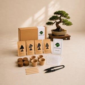 Op de afbeelding: Een bonsai kweekset met een bruine kartonnen doos met het label Bonsai Club, vier zakjes zaden, vier kleine beige potjes, vier kurken schijfjes, vier houten plantenstekers, doorzichtige plastic zakjes, een zwarte schaar en een groene bonsai.