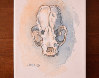 River Otter Skull, Otter Art, Giclée Print on Stretched Canvas, 7x9"