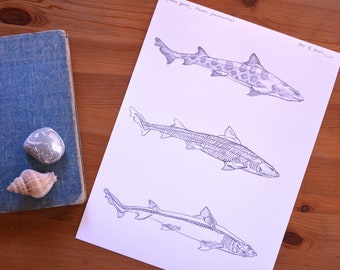Art requin, impression giclée, anatomie du requin léopard, art de l'océan, art du poisson, art de la plage