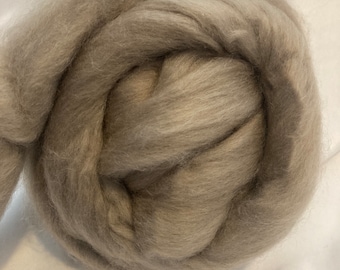 May include: A close-up of a bundle of light gray wool roving. The wool is soft and fluffy, and it is perfect for spinning or felting.