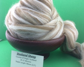 Shetland Roving, Multi Colored Shetland Top also called "Humbug" colored, 100 grams multi colored natural shetland, fun to spin