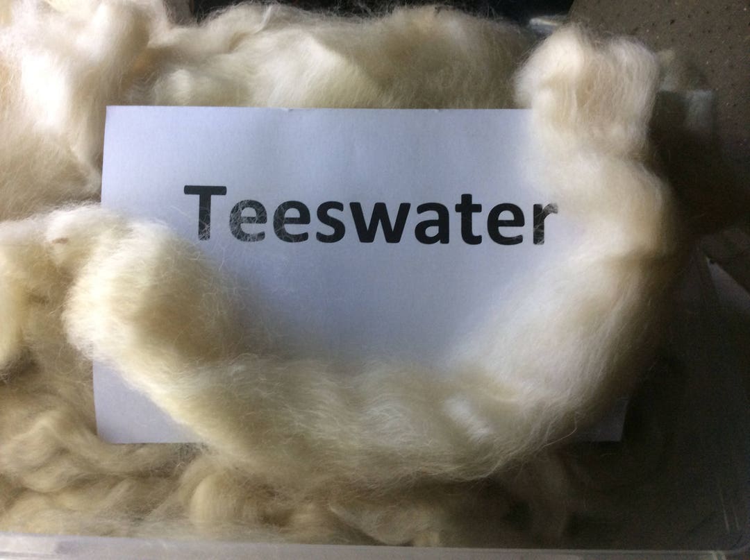 Teeswater Roving, Teeswater Top, 100 Grams Natural Spinning Fiber