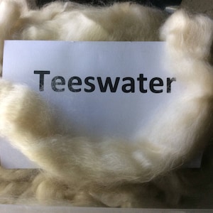 Teeswater roving, teeswater top, 100 grams natural spinning fiber, great for spinning, felting or dyeing