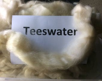Teeswater roving, teeswater top, 100 grams natural spinning fiber, great for spinning, felting or dyeing
