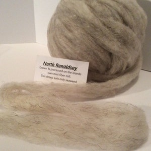 North Ronaldsay Roving, Grey, Very Limited Quantity, 100 grams of this rare Scottish breed