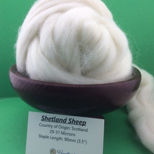 Shetland Roving, White Shetland Top, 100 grams Shetland Top from Scotland, great for spinning, felting or dyeing