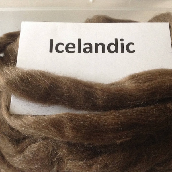 Icelandic roving, brown, icelandic top - great for spinning or felting - natural brown color, 100 grams