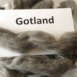 May include: A close-up of a pile of gray Gotland wool fiber. The wool is soft and fluffy, and it is perfect for spinning or felting.