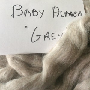 Baby Alpaca Roving, light grey baby alpaca top, 100 grams of softness