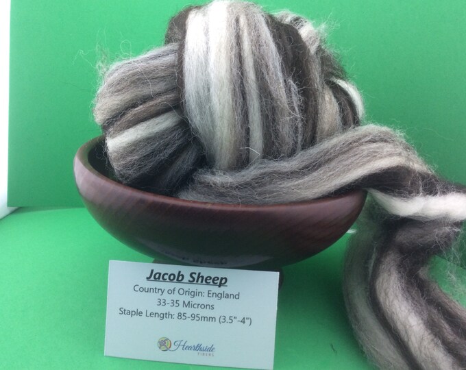1 Lb Black Jacob Combed Top, Roving, Spinning Fiber, Felting Fiber