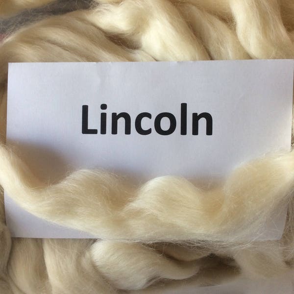 Lincoln Roving, natural Lincoln top, 100 grams natural spinning fiber, great for spinning, felting or dyeing.