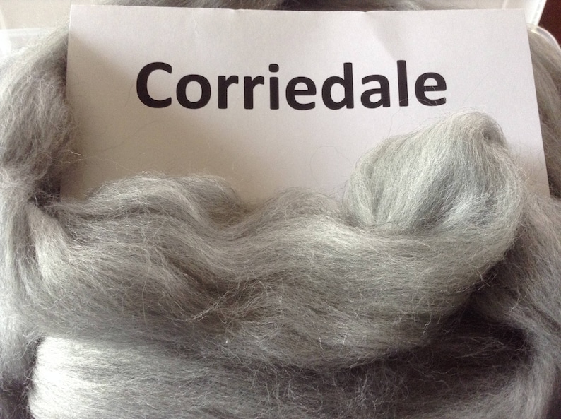 Corriedale Roving Grey Corriedale Top 100 Grams of Spinning Etsy