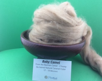 Camel Roving, Baby Camel Top, Very soft fiber from the Bactrian Camel - 2 hump, 100 grams of spinning joy