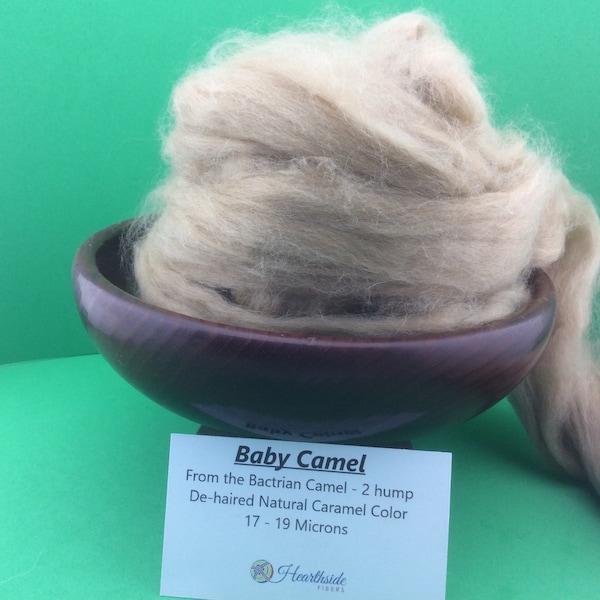 Camel Roving, Baby Camel Top, Very soft fiber from the Bactrian Camel - 2 hump, 100 grams of spinning joy