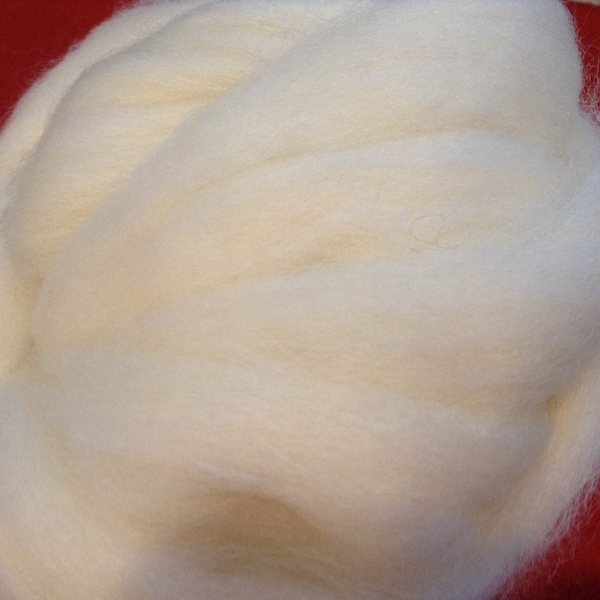 Superwash Bluefaced Leicester, Superwash BFL Top, 100 grams of 26 micron Superwash BFL, great for spinning and dyeing (NOT felting)