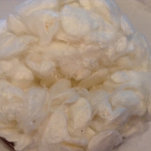 May include: Close-up of a pile of raw, unprocessed cotton fibers. The fibers are a creamy white color and appear soft and fluffy. The cotton is likely used for textile production or crafting.