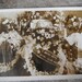 Antique Post Mortem RPPC - Real Photo Postcard - French - Dear Mother and Grandmother - Casket and Flowers