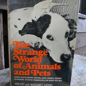 First Edition Book - The Strange World of Animals And Pets
